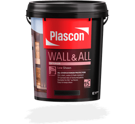 Paint Plascon Professional Exterior (20L)